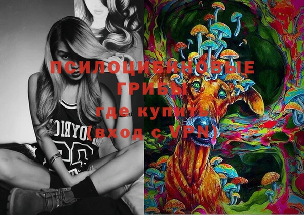 мдпв Костерёво