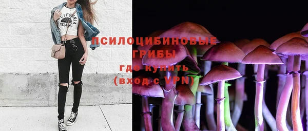 тгк Коряжма
